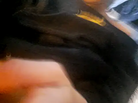 monalily online show from November 18, 7:26 pm