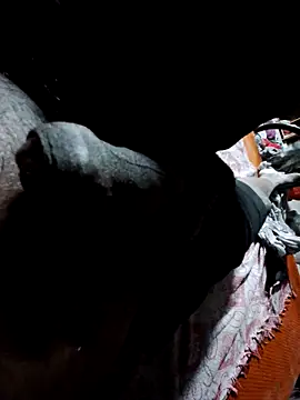 Red Kegal online show from April 11, 6:11 pm