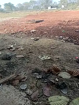 Curvy Vamikaa online show from January 19, 10:22 am