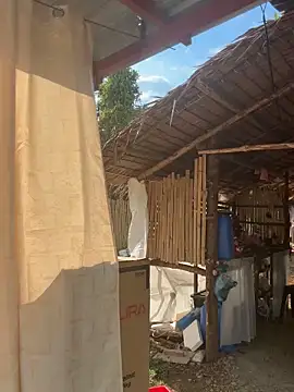 Juliet official pro online show from April 11, 8:29 am