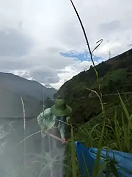 Maiphu34 online show from May 13, 12:50 am