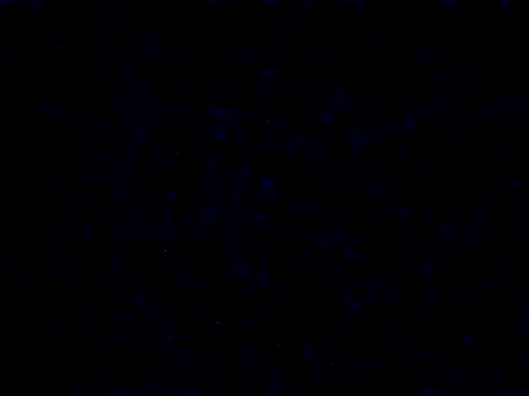 danylush online show from December 20, 12:31 pm