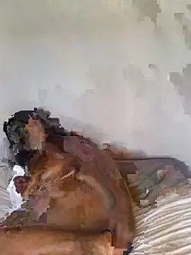 babepear online show from February 25, 6:34 am