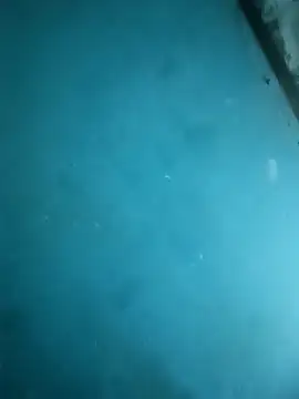 Np couple008 online show from April 6, 6:53 pm