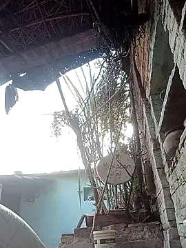 Hasmi hot09 online show from March 2, 2:00 am