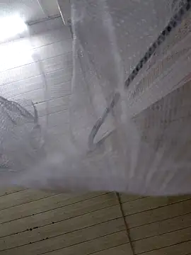 Pinks cool online show from February 24, 1:32 pm