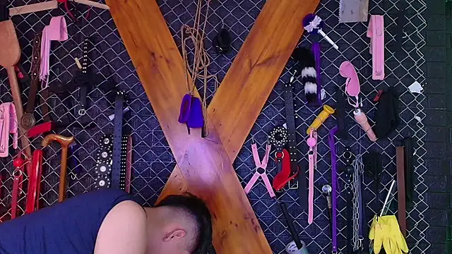 Arion and Velvet bdsm online show from April 29, 8:36 pm