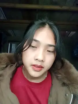 Hoa-tuylip online show from February 1, 4:11 am