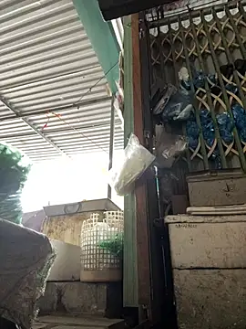 YANINA120 online show from February 28, 8:03 am