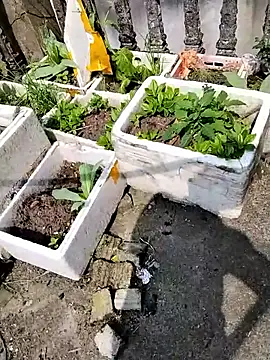 Queen-love45 online show from March 1, 3:39 am