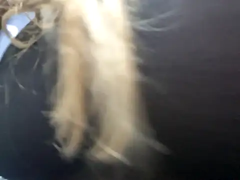 tuhardsexy online show from April 21, 10:50 pm