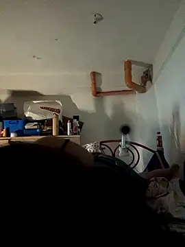 Wildcam21 online show from February 19, 5:01 pm