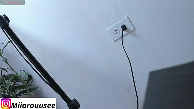 miarouse 0 online show from April 21, 9:00 pm