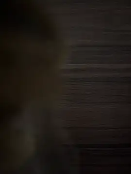 safadinhaputinha69 online show from April 23, 12:51 pm