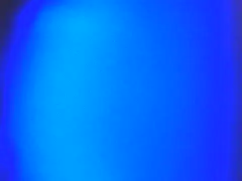 Yummy Donna online show from April 5, 8:30 pm