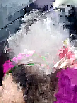 Sarita-sousou online show from April 1, 5:32 pm