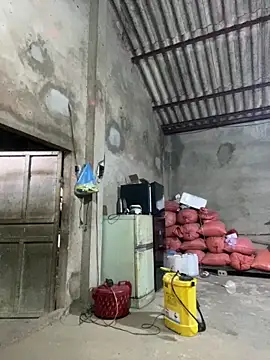 Hini cute online show from April 8, 10:50 am