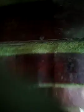  younger couples  online show from April 17, 12:40 pm