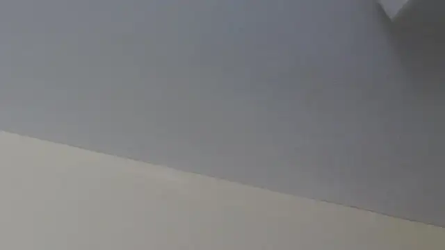 LeiaHuk online show from July 12, 8:42 pm
