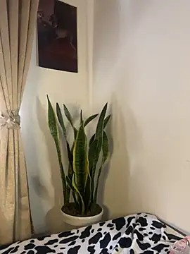 Salomebaby online show from June 15, 6:52 pm