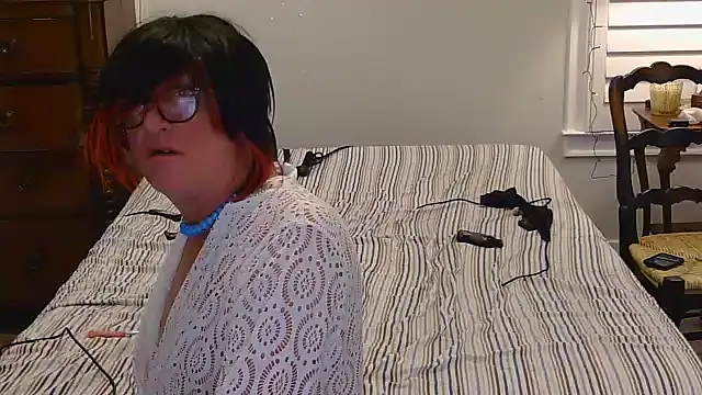 HelloKittyLapDog online show from February 11, 9:00 am