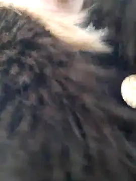 Dirtyfeelin online show from February 4, 1:36 pm