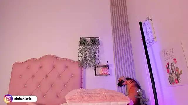 sweet nicole 11 online show from December 1, 3:04 pm