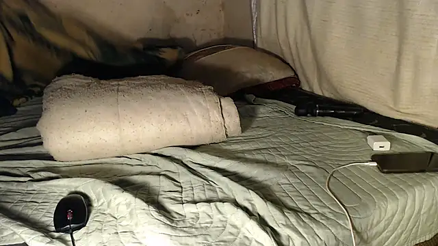 devine TATAS online show from January 11, 3:00 am