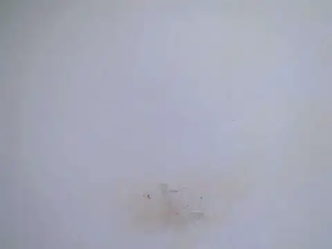 h0ney lips online show from September 24, 8:13 am