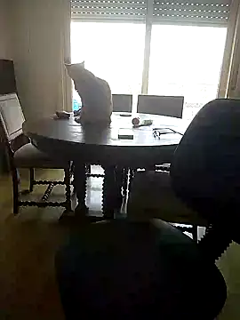 sasha hot98 online show from December 2, 5:59 pm