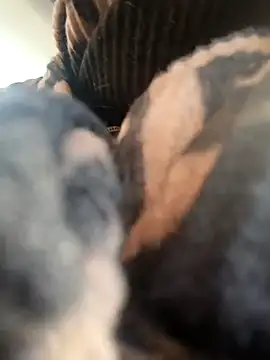 -Mia-   online show from March 21, 8:19 am