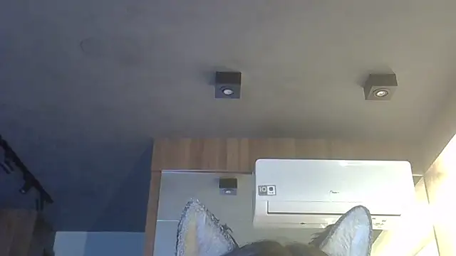 Skinny-Kitten online show from February 2, 9:14 pm