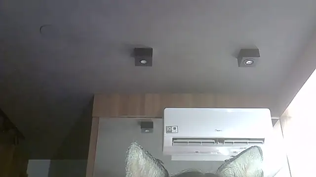 Skinny-Kitten online show from November 29, 1:20 am