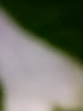 09punjabi online show from February 15, 3:31 am